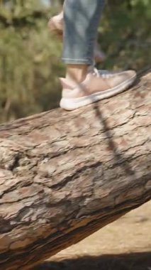 Dikey video. Parlak güneşli bir günde, ağaçlarla çevrili bir parkta, büyük bir ağacın gövdesinde dengede duran pembe spor ayakkabı giyen kadın ayakları.