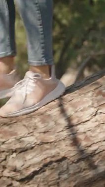 Dikey video. Pembe ayakkabılı bir kadın parkta bir ağaç gövdesi boyunca yürüyor, açık güneşli bir günde ağaç kabuğunun doğal dokusunu ve yeşil otları aydınlatıyor.