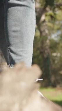 Dikey video. Ağaç gövdesindeki pembe spor ayakkabıların yakın çekimi, güneşli bir günde sert ağaç kabuğu dokusunun ve günlük kıyafetlerin parlak bir orman parkında yakalanması.