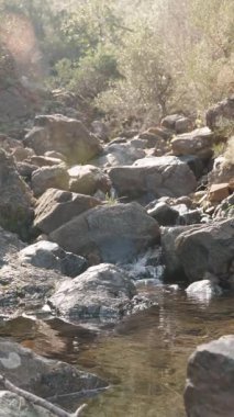 Dikey video. Yüzeysel Rocky Akıntısı Kuru bir arazide Güneş Işığı Işığı Lens Fişeği Oluşturur