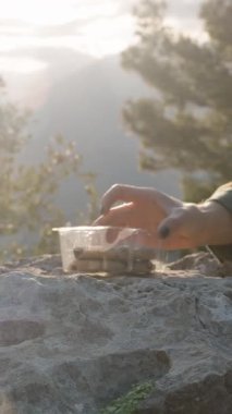 Dikey video. Dağlardaki Büyük Kayalıklarda Çay ve Atıştırmalık Hazırlayan Kadın Ağaçların Arasında Güneş Parlıyor, Huzurlu Doğanın İnzivasını Sembolize Ediyor