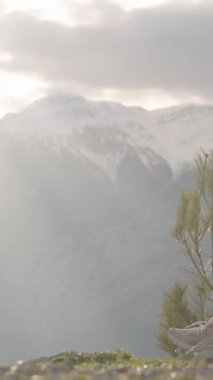 Dikey video. Kaya tepeli dağlarda oturan ve dumanı tüten bir kupadan sıcak çay içen altın günbatımı ışığıyla çevrili, barışçıl açık hava gevşemesini temsil eden bir kadın.