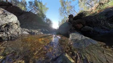 Ağaçlar ve kayalarla çevrili, Kayalık Arazi 'den yansıyan Güneş Işığıyla birlikte Kayalık Arazi' de Küçük Temiz Bir Akış