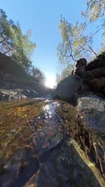 Dikey video. Ağaçlar ve kayalarla çevrili, Kayalık Arazi 'den yansıyan Güneş Işığıyla birlikte Kayalık Arazi' de Küçük Temiz Bir Akış
