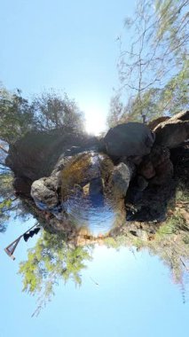 Dikey video. Ağaçların arasından süzülen, Doğaya Eşsiz Bir Bakış Akımı yaratan, Büyük Kayalar Arasında Küçük Bir Gezegen Efekti Görüntüsü