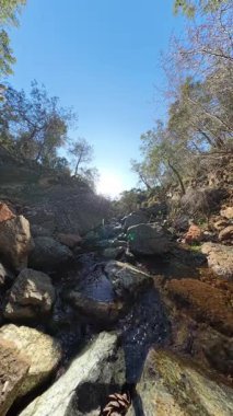 Dikey video. Arka planda ağaçlar ve güneş ışığıyla Rocky Arazisi 'nde akan bir dağ akıntısı düşük açılı bir perspektiften yakalanır.