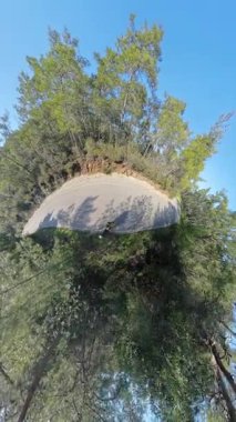 Dikey video. Çevresi Ormanla çevrili Eğri Dağ Yolu 'nda Yürüyen Bir Gezginin Küçük Gezegen Efekti Görüntüsü Eşsiz bir Keşif Manzarası Oluşturuyor