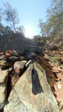 Dikey video. Ağaçlarla çevrili bir Rocky Dağı akıntısı. Kayaların üzerine güneş ışığı yansıtan gölgeler. Eşsiz bir perspektifle ele geçirilmiş.
