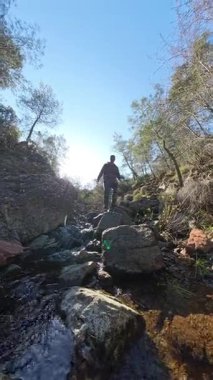 Dikey video. Dağlık bir ormanda, Kayalıklarda Yürüyen Bir Adam Güneş Işığıyla Sahneyi Işıklandırıyor