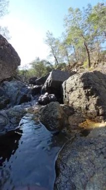 Dikey video. Ormandaki Büyük Kayaların Üzerinden Küçük Şelale Akıyor. Güneş Işığı Islak Taşlara Yansıyor.