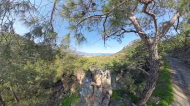 Uzakta Kıyı Kasabası ve Dağları olan Uçsuz bucaksız Yeşil Vadi 'ye bakan Rocky Uçurumunda Duran İki Yürüyüşçü