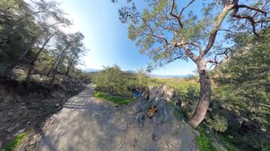 Gezginler Berrak Mavi Gök Altında Kıyı Manzaralı Çam Ağaçlarıyla çevrili Rocky Outcrop 'ta Dinleniyor