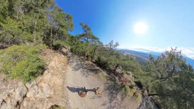 İki Yürüyüşçü, Yeşil Dağ Vadisi Manzarası ile çevrelenmiş Rocky Yolu boyunca yürüyor. Mavi bir gökyüzü altında, Güneş tepeden parlıyor.