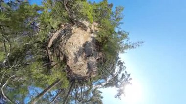 İki Gezegen Yürüyüşü Küçük Gezegen Efektiyle Yeşil Ağaçlar ve Parlak Mavi Gökyüzü ile Küresel Bir Perspektif Oluşturuyor