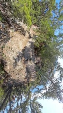 Dikey video. İki Gezegen Yürüyüşü Küçük Gezegen Efektiyle Yeşil Ağaçlar ve Parlak Mavi Gökyüzü ile Küresel Bir Perspektif Oluşturuyor