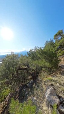 Dikey video. Aşağıdaki sahil ve şehir manzaralı yeşil ağaçlarla çevrili Rocky Dağı 'nın tepesinde yürüyüş yapan erkek ve kadın onları takip eden hareketli bir kameradan görüntülendi.