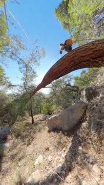Dikey video. Sırt çantasıyla dağlarda devrilmiş bir ağaç gövdesinde duran, Ormana ve Mesafe 'ye bakan, Düşük Açı Bakış Açısı' ndan çekilen adam.