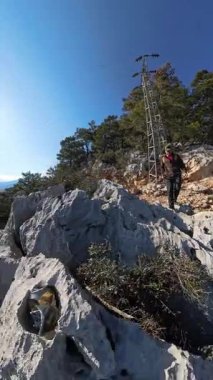Dikey video. Kayalık Arazide Yürüyen Adam Açık Mavi Gökyüzü Altında Ağaçlar ve Güneş Işığıyla çevrili Deniz manzaralı bir uçurumun kenarına doğru yürüyor