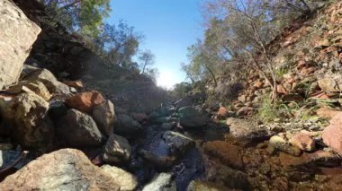 Arka planda ağaçlar ve güneş ışığıyla Rocky Arazisi 'nde akan bir dağ akıntısı düşük açılı bir perspektiften yakalanır.
