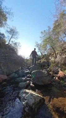 Dikey video. Dağlık bir ormanda, Kayalıklarda Yürüyen Bir Adam Güneş Işığıyla Sahneyi Işıklandırıyor
