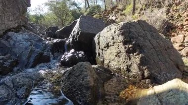 Ormandaki Büyük Kayaların Üzerinden Küçük Şelale Akıyor. Güneş Işığı Islak Taşlara Yansıyor.