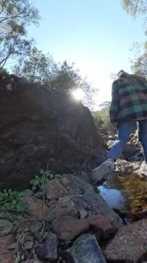 Dikey video. Kareli Ceketli Kadın Güneş Işığı ve Ormanlı Sığ Dağ Dere Boyunca Kayalıklarda Yürüyor