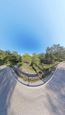 Dikey video. Sarmal Yollar Arasındaki Çimenli Tepe 'de Dinlenen İki Gezgin 360 derecelik Yeşil Orman Manzarası ile çevrili