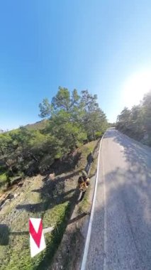 Dikey video. Parlak Güneş Işığı Altında Uzun Çam Ağaçlarıyla çevrili Bir Dağ Yolunda Duran Yürüyüşçüler