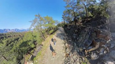 Arkaplanda Yoğun Ağaçlar ve Uzak Tepeler olan Kayalık Dağ Yolu boyunca Yürüyen İki Kişi