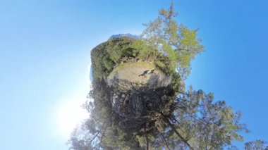 İki Gezgin 'in Küçük Gezegeni Yeşil Ağaçlar ve Mavi Gökyüzü ile çevrili Rocky Dağı Yolu' nda