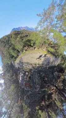 Dikey video. İki Gezgin 'in Küçük Gezegeni Yeşil Ağaçlar ve Mavi Gökyüzü ile çevrili Rocky Dağı Yolu' nda