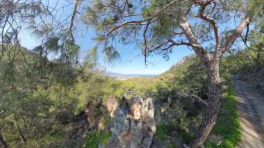 Uzakta Kıyı Kasabası ve Dağları olan Uçsuz bucaksız Yeşil Vadi 'ye bakan Rocky Uçurumunda Duran İki Yürüyüşçü