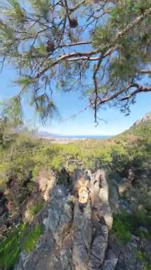 Dikey video. Uzakta Kıyı Kasabası ve Dağları olan Uçsuz bucaksız Yeşil Vadi 'ye bakan Rocky Uçurumunda Duran İki Yürüyüşçü