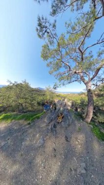 Dikey video. Gezginler Berrak Mavi Gök Altında Kıyı Manzaralı Çam Ağaçlarıyla çevrili Rocky Outcrop 'ta Dinleniyor