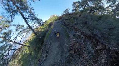 İki Yürüyüşçü Uzakta Kıyı ve Dağlar manzaralı Yoğun Yeşillik ile çevrili Rocky Yolu