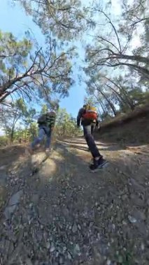 Dikey video. Uzun Ağaçlarla çevrili dik bir ormana tırmanan iki gezgin, Küçük Gezegen Efekti ile yakalanarak Küresel bir Perspektif Oluşturuyor