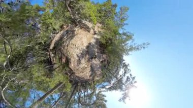 İki Gezegen Yürüyüşü Küçük Gezegen Efektiyle Yeşil Ağaçlar ve Parlak Mavi Gökyüzü ile Küresel Bir Perspektif Oluşturuyor