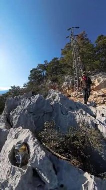 Dikey video. Kayalık Arazide Yürüyen Adam Açık Mavi Gökyüzü Altında Ağaçlar ve Güneş Işığıyla çevrili Deniz manzaralı bir uçurumun kenarına doğru yürüyor