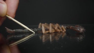 Bir akrebin yüzünün makro yakın çekimi ve kürdanla incelenen kıskaçlar, zırhlı dış iskeletini ve keskin pençelerini karanlık bir yansıtıcı arka plana karşı sergiliyor. Eklembacaklı ve çalış