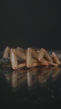 Dikey video. Bir akrebin yüzünün makro yakın çekimi ve kürdanla incelenen kıskaçlar, zırhlı dış iskeletini ve keskin pençelerini karanlık bir yansıtıcı arka plana karşı sergiliyor. Eklembacaklı ve çalış