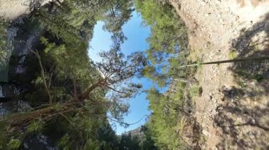 Yeşil Ağaçlar ve Parlak Mavi Gökyüzü ile Rocky Ormanı Kanyonu 'nun Dairesel Görünümü, Güneş Işığı Dalların arasından Gözetliyor, Doğal Çerçeve Efekti Oluşturuyor, Delik Gezegeni