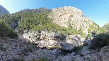 Geniş açılı bir Rocky Dağı manzarası Orman Kanyonu 'ndan akan küçük bir nehirle çevrili, yemyeşil ağaçlar ve dik uçurumlarla çevrili, açık mavi bir gökyüzü altında.