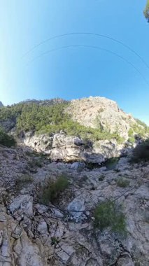 Dikey video. Geniş açılı bir Rocky Dağı manzarası Orman Kanyonu 'ndan akan küçük bir nehirle çevrili, yemyeşil ağaçlar ve dik uçurumlarla çevrili, açık mavi bir gökyüzü altında.