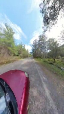 Dikey video. Yoğun Yeşil Orman 'da Dar bir yolda giden araba 360 derecelik bir kameradan kısmen bulutlu bir gökyüzünün altındaki yolu çizen ağaçlarla görüntülendi.