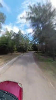 Dikey video. Yüksek Açı Hareketi Bulanık Efekti Rüzgarlı Orman Yolu Boyunca Hızlanan Yolculuğun Uzun Ağaçlar ve Güneş Işığı Manzarası ile çevrili Zaman Hızı Perspektifi ile yakalanan