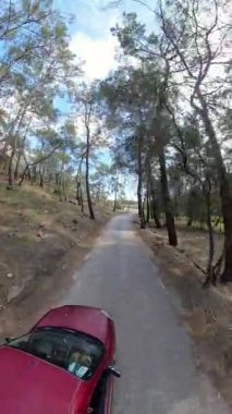 Dikey video. Uzun Ağaçlar ve Açık Mavi Gökyüzü Altındaki Yeşillik ile Yoğun Orman 'dan geçen Paved Yolu Yüksek Açı' dan Yakalandı