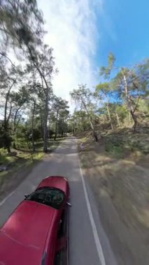 Dikey video. Yoğun bir ormanda, Dar bir yolda hız yapan kırmızı bir arabanın hareket bulanıklığı. Uzun ağaçlar ve dallardan süzülen güneş ışığı, yüksek açılı.
