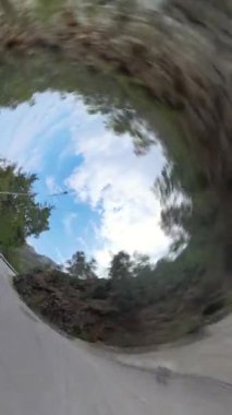 Dikey video. Eğri Hareket Bulanık Efekti Ağaçlarla ve Gökyüzüyle çevrili Bir Yol Yakalayarak Gerçeküstü Seyahat Perspektifi Turları Oluşturur