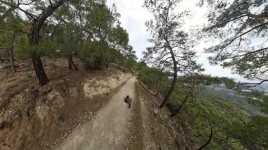 Dağlık Yol 'da Yeşil Ağaçlarla çevrili, Geniş Açı Görüş Açısı Bulutlu Gökyüzünde Yürüyen Adam.