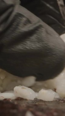 Dikey video. Kamera Makro Çekimde Siyah Eldiven Gibi Hareket Ediyor Nori çarşafının üzerine Suşi Pilavı Saçarak Yapışkan Tutarlılığı Detaylarıyla Yakalıyor